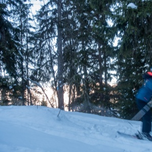 Presque un hors-piste en descendant dans les sapins vers Plagne Montalbert