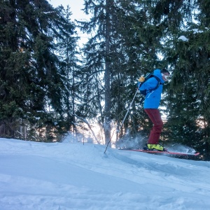Presque un hors-piste en descendant dans les sapins vers Plagne Montalbert