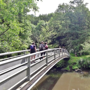 Passerelle sur l'Auvézère derrière la forge.