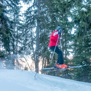 Presque un hors-piste en descendant dans les sapins vers Plagne Montalbert