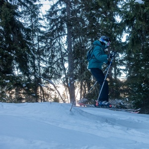 Presque un hors-piste en descendant dans les sapins vers Plagne Montalbert