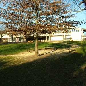 vue sur la cour et les espaces verts de la Cité Scolaire Giraut de Borneil
