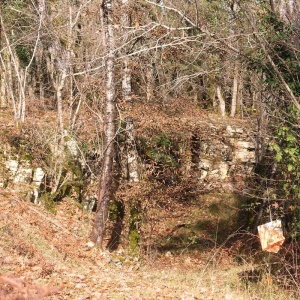 Au fond des bois : « dépression »
