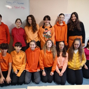 4e3 colour
